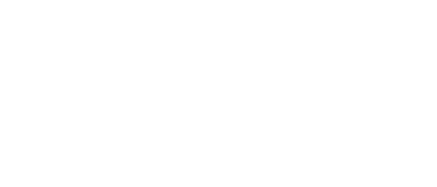 Blue Wire Capital